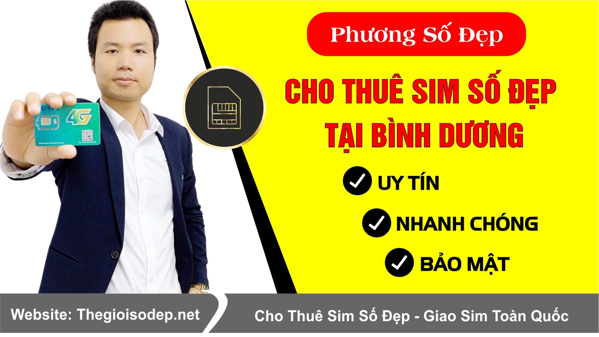 thuê sim số đẹp tại bình dương